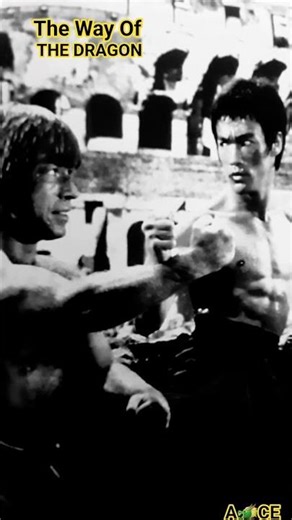 CHUCK NORRIS & BRUCE LEE #thewayofthedragon #chucknorris #brucelee #shorts #jkd #kungfu #bruce_lee