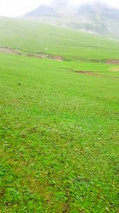 Charming view 🌿🌻🌲❤️ #jk #nature #explore #viral | Kashmir Nature Explorer