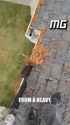 Satisfying Gutter Cleaning | Removing Years of Clogged Leaves & Debris