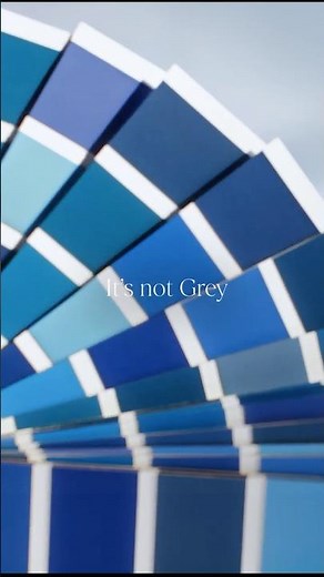 This season we’re Cerulean Goose: It’s not as similar as you may think. #CeruleanGoose