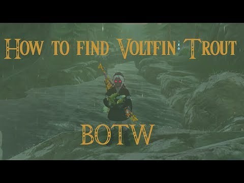 How to find VOLTFIN TROUT BOTW 2020