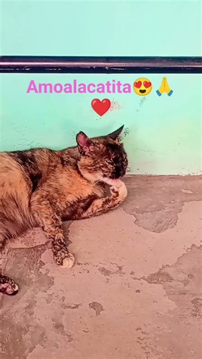 24 de diciembre de 2025