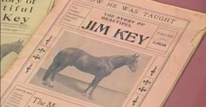 Appraisal: Jim Key Collection, ca. 1900