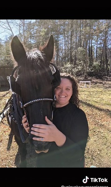 UniquelyYoursCarriageco on TikTok