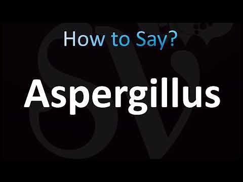 How to Pronounce Aspergillus (CORRECTLY!)