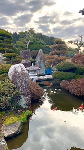 75K views · 1.5K reactions | Most Beautiful Japanese Garden and Koi Pond I’ve seen!  #garden #japanesegarden #koipond #gardendesign #zen #koifish #watergarden #oaselivingwater | The Koi Partner | Facebook