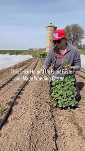 We used to plant every bed with string lines and measuring tape - trying to get straight rows and even spacing. It worked, but it was slow and tedious. Then we switched to this faster system: ✅ Laid out drip irrigation lines with 6” emitters ✅ Turned them on to create visible wet spots ✅ Used the wet spots to guide transplant spacing - 6”, 12”, or 18” depending on the crop The drip lines kept our rows straight for faster weeding later, and the wet spots made it easy to hit the correct spacing wi