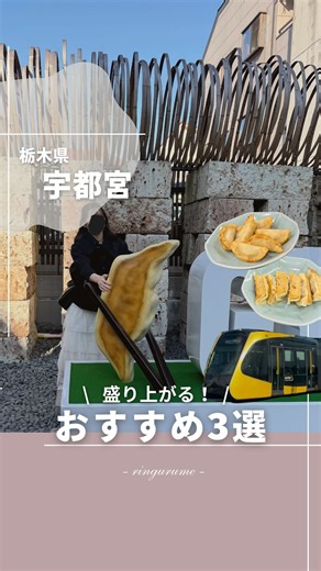 りん￤栃木のおしゃれグルメ on Instagram: "栃木を愛する姉妹👭,,,@tochigi__gurume 𓂃𓂃𓂃𓂃𓂃𓂃𓂃𓂃𓂃𓂃𓂃𓂃𓂃𓂃𓂃 ＼ 宇都宮観光におすすめ3選🥟！ ／ １、LRT 宇都宮駅からすぐ乗れて、 車窓から市街地をのんびり楽しめるのが最高〜！ 初めてでも乗りやすくて観光にぴったり！ 🚗宇都宮駅付近のコインパーキング利用 ２、餃子通り メガ餃子と記念写真🥟 写真撮るだけで宇都宮来た感があって これは外せないスポット！ 🚗近隣のコインパーキング利用 ３、みんみん🥟 宇都宮餃子の中でもりん姉妹お気に入りのお店♡ お腹も心も満たされて幸せすぎた〜！ 🚗近隣のコインパーキング利用 ぜひみんなも宇都宮を満喫してきてね,,,,,🥟♡ 𓂃𓂃𓂃𓂃𓂃𓂃𓂃𓂃𓂃𓂃𓂃𓂃𓂃𓂃𓂃 𓐄 “ここ行ってみたい！”が見つかる🍴 𓐄 ：栃木県のグルメ×スポットを厳選 ：お友達に喜ばれるおすすめグルメ ：ワクワクする最新スポット ：栃木をもっと知りたい人はフォロー👈🏻💓 👇🏻栃木のグルメ＆スポット @tochi