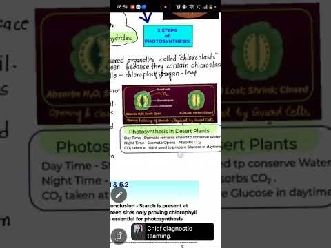 Life Process Chapter | Zoom Live Class Recording | Biology Revision Room