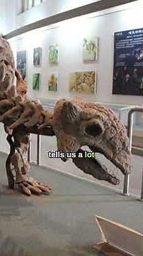 Ankylosaurus: Fused Lizard | Prehistory 101