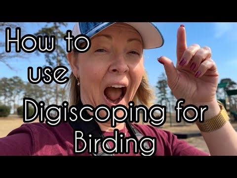 How to use Digiscoping for Birding @kapture-gear @kowasportingoptics