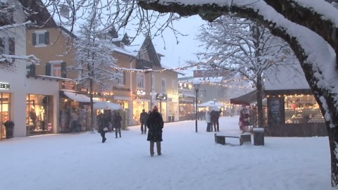 6 Popular Costco Soups, Ranked Worst To Best