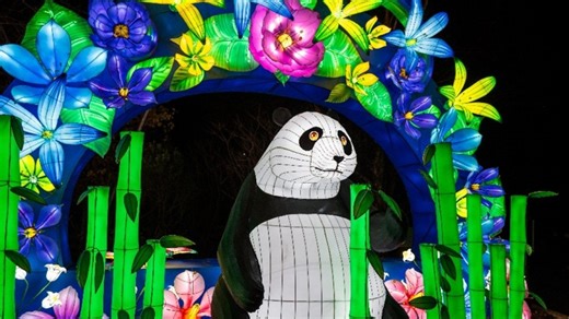 National Zoo works ‘around the clock' to pull off holiday tradition after shutdown