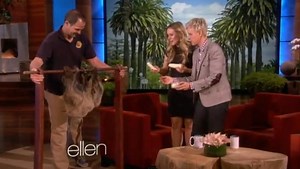 Kristen Bell on 'Ellen': Another sloth surprise [VIDEO] - UPI.com