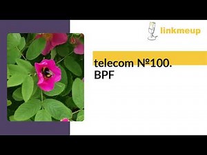 telecom №100. BPF