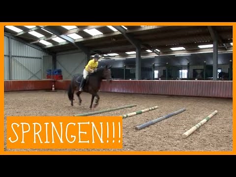 Basis springen | PaardenpraatTV
