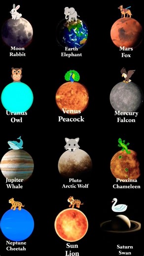 What Animals Would Evolve on Alien Planets