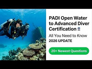 PADI Open Water to Advanced Diver 2026: Complete Guide to Your Next Scuba Certification