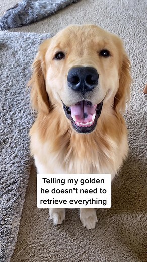 Monte & Mandy on TikTok