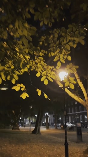 This Halloween week, we're thrilled to announce that Paranormal Activity is extended until 28th March 2026! Inspired by the iconic, terrifying film series, Paranormal Activity is a new story live on stage. HOLD YOUR NERVE ... | ATG Tickets