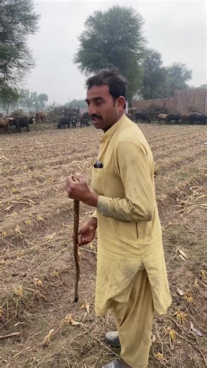 Explore the Features of the iPhone 13