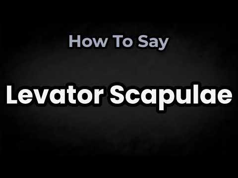 How To Pronounce Levator Scapulae? (CORRECTLY) Meaning & Pronunciation
