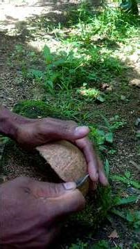 Removed coconut shell. See how it was cleaned. 🧉🔪🛁