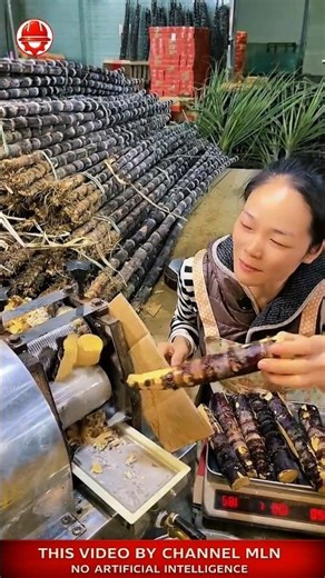 JUICE MACHINE 😮🧃sugarcane in one pass ⚙️#shorts #skills #crafts #sugarcane