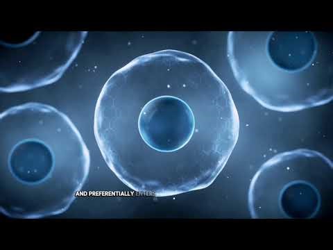 FDG PET Imaging from the Perspective of Statistical Physics