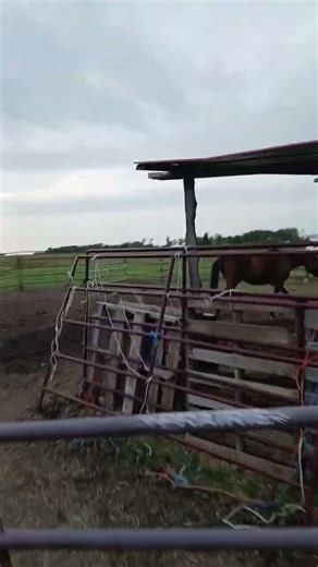 Transportation Prepping!