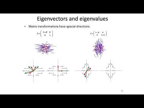 17: Principal Components Analysis_ - Intro to Neural Computation