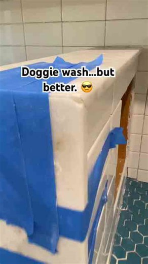 6 fun ideas for building the perfect dog shower