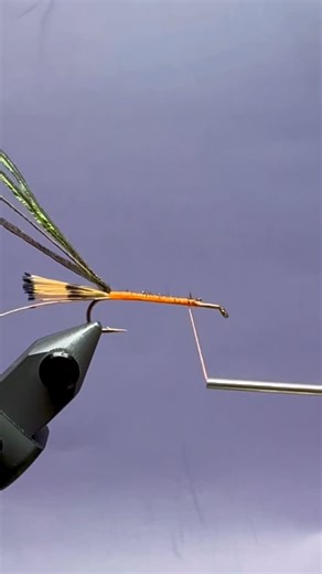 Martin Aceto on Instagram: "Little Brown Trout streamer Minimal materials, maximum effectiveness. Perfect size when browns are feeding just under the surface. And broke trout love it #flytying #flytyingaddict #flytyingjunkie #flyfishing #flyfishingstreamers"