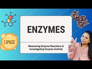 Measuring Enzyme Reactions & Investigating Enzyme (Cambridge IGCSE Biology (5090) - Biology (0610).