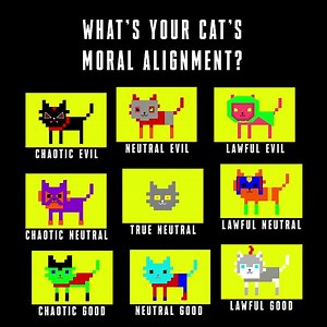 13K views · 43 reactions | The classic Dungeons & Dragons alignment test categorizes the moral composition of every possible person ... and every possible cat. Take this quiz to find out where your cat belongs! | BuzzFeed Quiz | Facebook