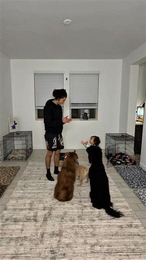 Derek Borgen on Instagram: "Dog reset day 🧼🐾 #explore #reels"