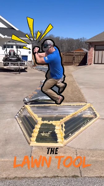 Expert Lawn Renovation Tips to Transform Your Yard