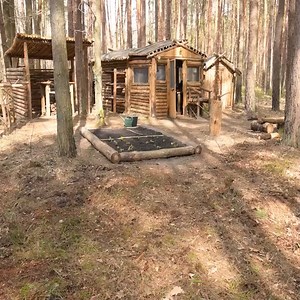 Homesteading, growing fruit trees, living off the land in a log cabin, and maintaining an off-grid forest garden. | Adventures Bushcraft