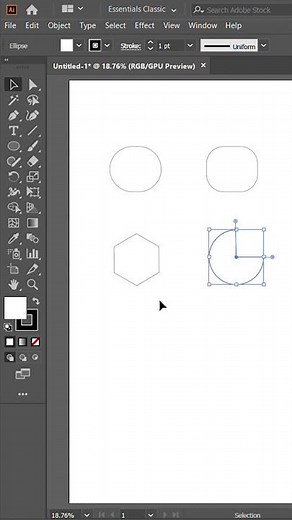 Use of Selection Tool (Adobe Illustrator)