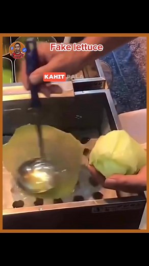 Artificial lettuce leave’s #lettuce #fakelettuce #fakevagetable #favebookreels #FacebookReelsContest #facebookpost #fbreelsvideo #highlights #highlightseveryonefollowers #highlightseveryone | Ricky TV blog