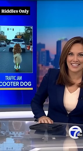 Bro skipped the walk… went straight to the commute 😭🛴 | Riddles Only