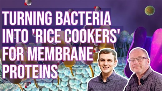 Genetically engineering bacteria into self-regulating ‘rice cookers’ for cell membrane proteins | Aston Institute for Membrane Excellence