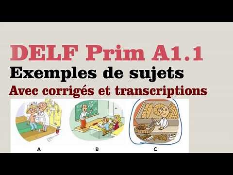 DELF Prim A1.1 - Sample papers - video 04