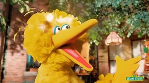 Happy Birthday to our favorite feathered friend who can always make us smile, Big Bird! #HBDBigBird | Sesame Street