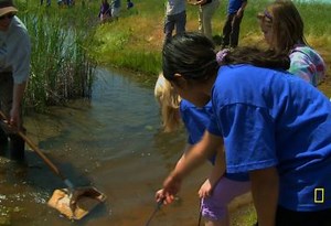 Exploring Ponds and Vernal Pools