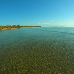 New video on the channel! Wading the sand flats! Rod - 20 Wilderness 664LXS Reel - Revelry HD 4000 Lure - Bait Junkie 2.5 Inch minnow | Fishing With Timmy Turtle