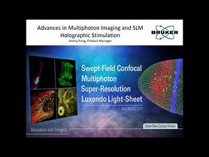 Multiphoton Imaging and SLM Holographic Stimulation | Bruker