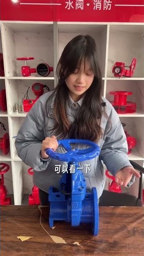 Rusty Stem Gate Valves: Causes and Solutions