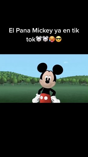 Todo el mundo a seguir al pana mickey😎🐭#mickey #mouse #viral #tiktok #ahora #gracias #segurime