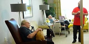 Therapy pigs visit Springfield nursing home